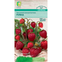 Земляника ремонтантная Руяна (ЦВ) 100шт