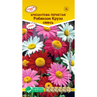 Хризантема перистая РОБИНЗОН КРУЗО