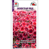Флокс Попстар Ред