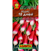 Редис 18 дней  С