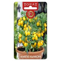 02Би3080 Томат Ампельмон NDS