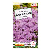 02Аэ1600 Гвоздика Амурская сиреневая
