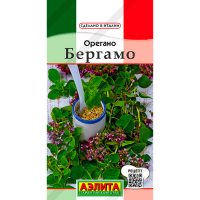 Орегано Бергамо