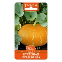 02Би3152 Тыква  Кустовая оранжевая NDS