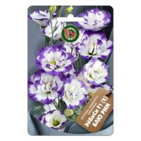 02Би3262 Эустома (лизиантус) срезочная ЭйБиСи F1 (2) Блю Рим NDS