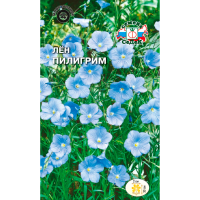 Лён Пилигрим (многолетний, нежно-голубой)