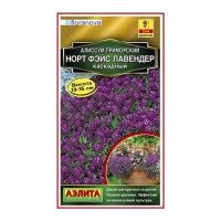 02Аэ1251 Алиссум Норт фэйс лавендер каскадный