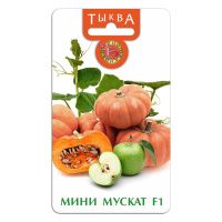 02Би3154 Тыква Мини Мускат NDS