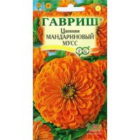 Цинния Мандариновый мусс