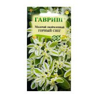 Га010087 Молочай окаймленный Горный снег 0,5 г