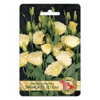 02Би3263 Эустома (лизиантус) срезочная ЭйБиСи F1 (2) Ело NDS