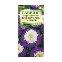 Га019932 Астра Пампушка черника со сливками, однолетняя (помпонная) 0,3 г