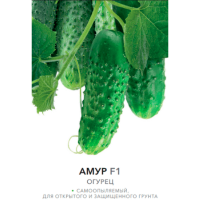 Огурцы Амур F1