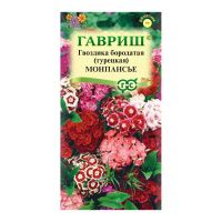 Га031288 Гвоздика бородатая (турецкая) Монпансье, смесь 0,1 г