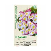 Га031315 Бегония Амбассадор Биколор F1 вечноцв. 4 шт. гранул. пробирка Саката серия Элитная клумба Н21