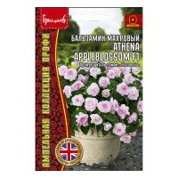 02Гр2945 Бальзамин Athena Appleblossom F1 амп. 4шт.- НОВИНКА NDS