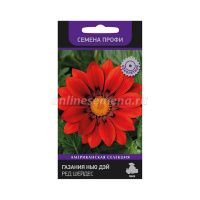 02По5057 Газания (Гацания) Нью Дэй Ред Шейдес (Семена Профи) (ЦВ) 10шт