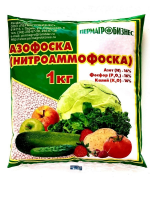 v8_24C0_34cfc
