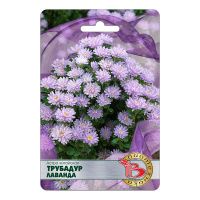 02Би2877  Астра китайская Трубадур Лаванда NDS