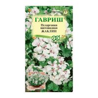 Га031329 Пеларгония Жаклин, ампельная 3 шт. Н22