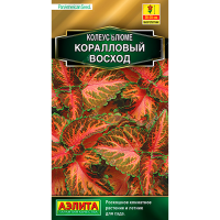 Колеус Блюме Коралловый Восход