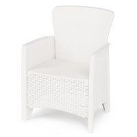 02048647 Кресло Ротанг Лайт (белый)