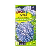 02Се2826 Цветы Астра Аполлония Светло-голубая сем алтая
