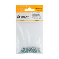 FI017479 Шурупы оцинкованные, универсальные 3 х 10 (фасовка 53 шт)