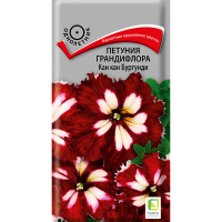 Петуния грандифлора Кан кан бургунди (ЦВ) (1) 10шт