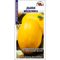 Дыня Медовка