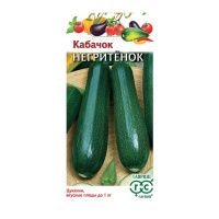 Га010425 Кабачок Негритенок 2 г.