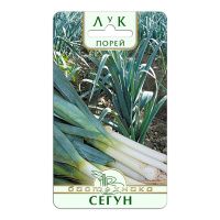 02Би2907 Лук порей Сегун NDS