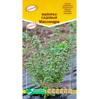Майоран садовый МАССАНДРА