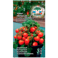 томат Непас 15 Непасынкующийся Балконный