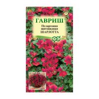 Га031332 Пеларгония Шарлотта, ампельная 3 шт. Н22
