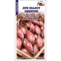 Лук Шалот Цебруне