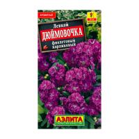 02Аэ1269 Левкой карликовый Дюймовочка фиолетовый