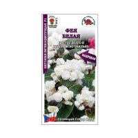 02Зо0305 Бегония вечноцветущая Фея Белая