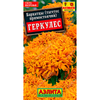 Бархатцы (тагетес прямостоячий) Геркулес