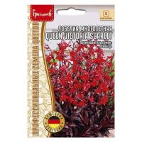02Гр3003 Лобелия Queen Victoria Scarlet многолетняя 5драже NDS