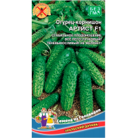 Огурец Артист - корнишон F1