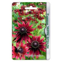 02Би3253 Рудбекия Черри Бренди NDS