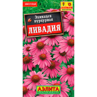 Эхинацея пурпурная Ливадия