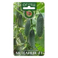 02Би2919 Огурец  Метелица F1   NDS