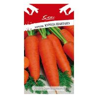 02Ру3706 Морковь Курода Шантанэ (2г)
