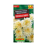 02Аэ1260 Бархатцы Снежная вьюга