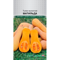 Тыква мускатная Матильда F1  Enza Zaden  5 шт