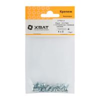 FI017898 Винт с полуцилиндрич. головкой с полной резьбой оцинков. DIN 7985 4х8 14 шт.(фасовка)