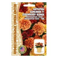 02Гр2960 Бархатцы Хамелеон Strawberry Blonde F1 5 шт. NDS