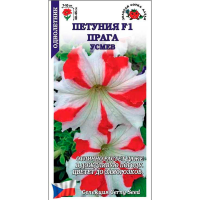 Петуния Прага Усмев F1